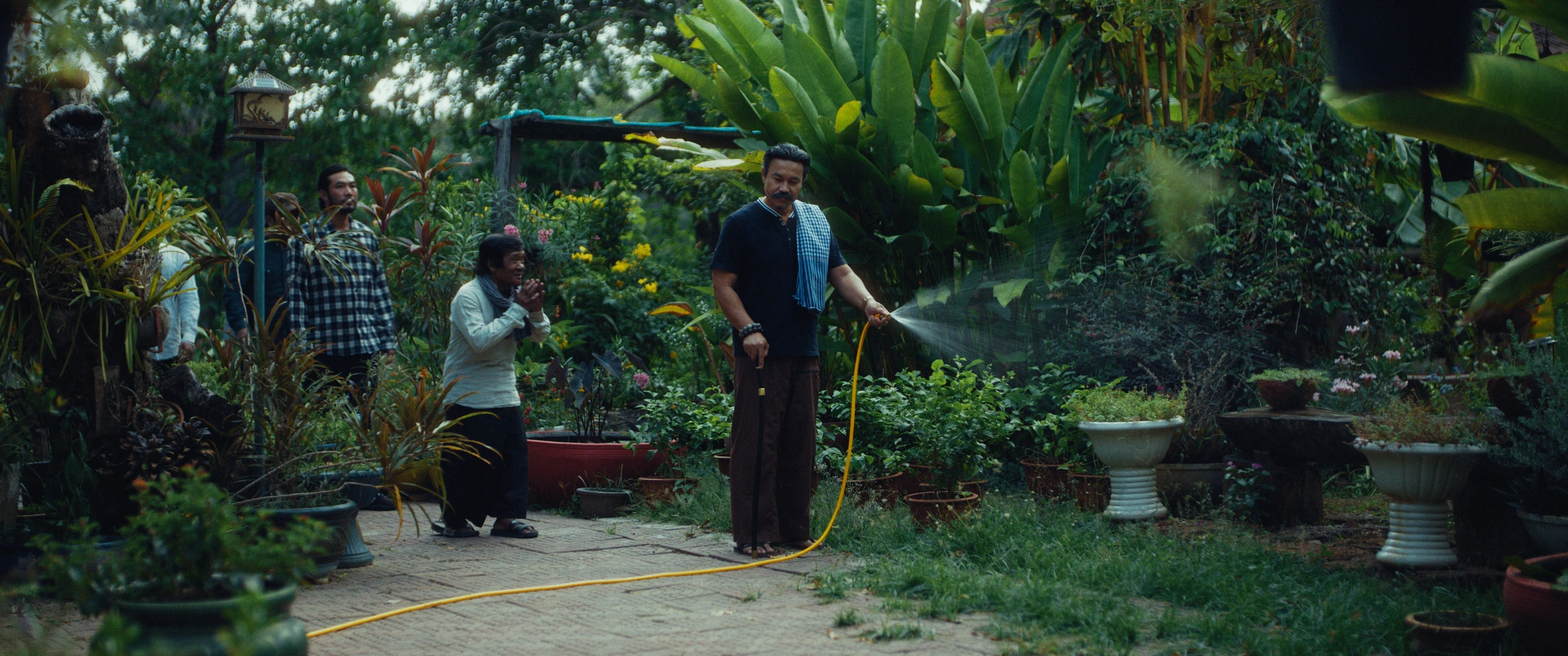 Graded with Film Pro