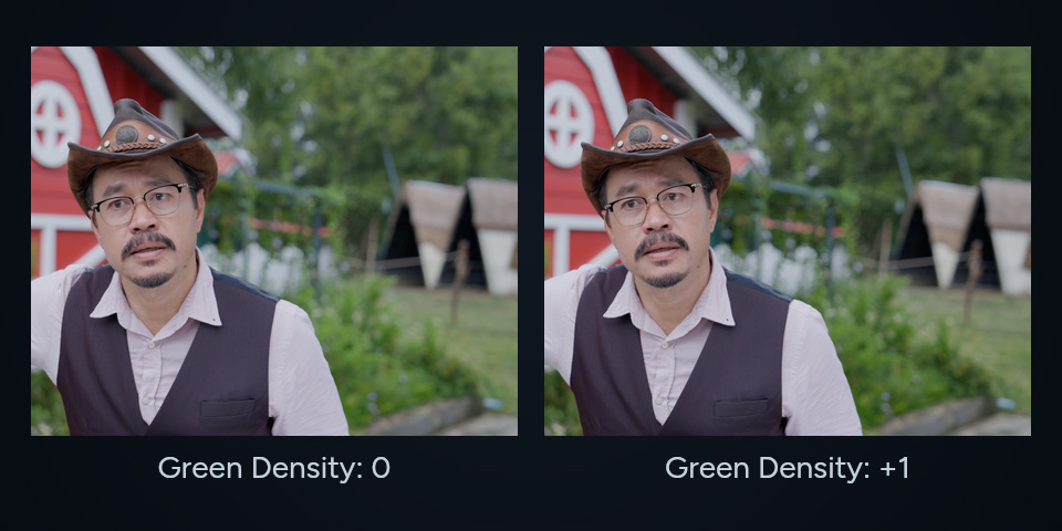 Matched colour portrait footage crops with native Green Density 0 and +1.