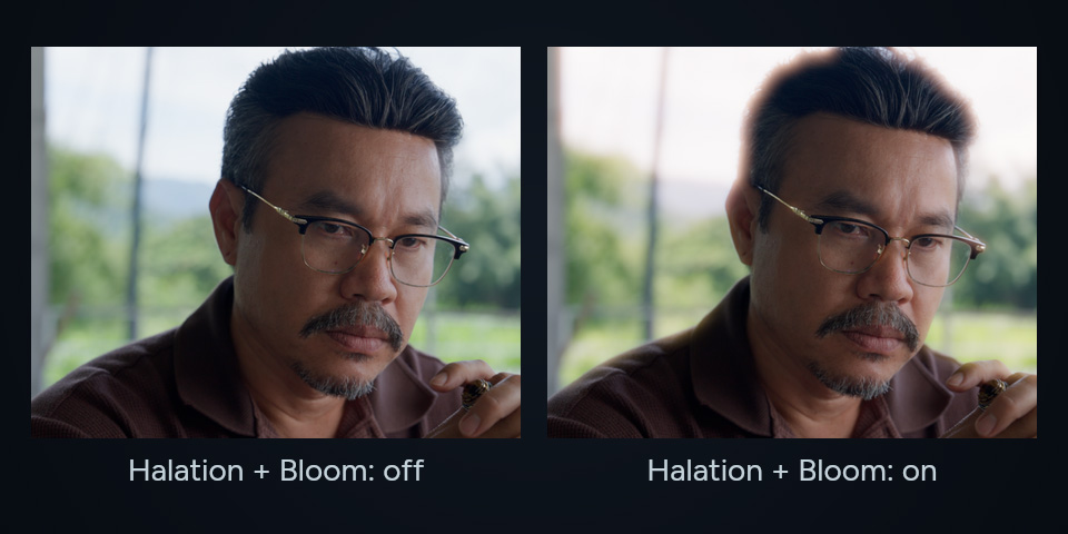 Matched real window-portrait footage with native Halation and Bloom off and combined.